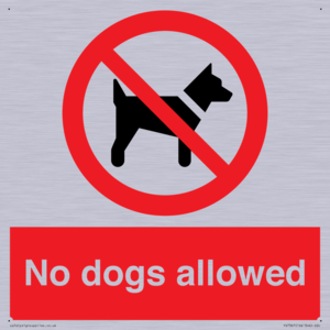 No dogs allowed